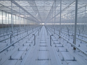 Greenhouse